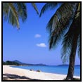 Caribbean Cruise Beach